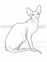 disegni/gatti/gatti_cats_ 24.jpg